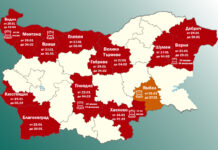 Грипна епидемия в България