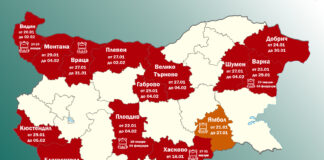 Грипна епидемия в България