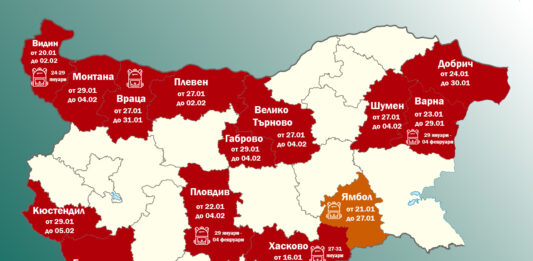 Грипна епидемия в България