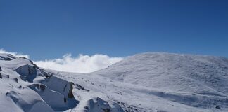 Изчезнал турист Национален парк Косиуско