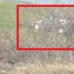 Катастрофиралият автомобил