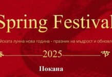 Китайска лунна нова година