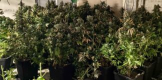 Наркотици във Варна