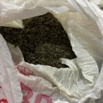 Наркотиците