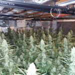 Оранжерията