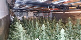 Оранжерията