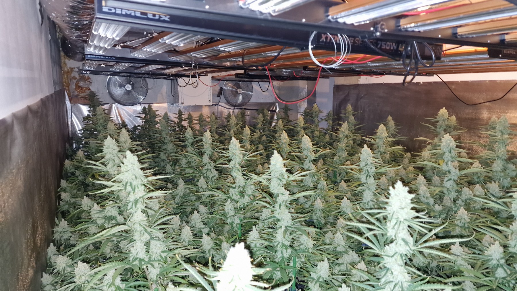 Акция на е била проведена около 10 00 часа днес Разбита