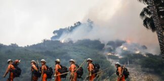 Затворници пожарникари