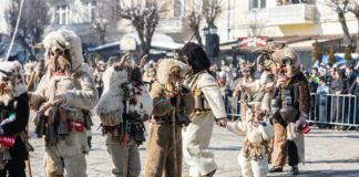 Международен кукерски карнавал „Старчевата“