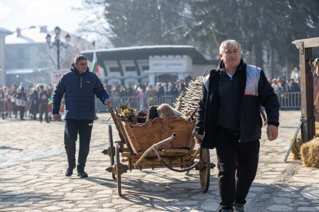 Международен кукерски карнавал „Старчевата“