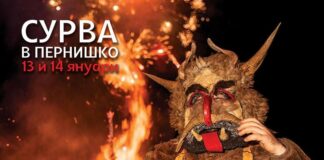 Сурва в Перник