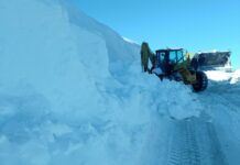 Троянския проход