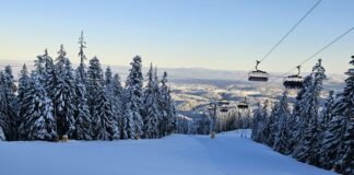 Туризъм в България, ски