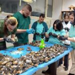 Загинали птици чинки край Копривщица