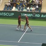 Александър Донски и Пьотр Нестеров