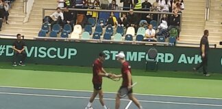 Александър Донски и Пьотр Нестеров