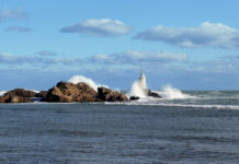 Черно море, България