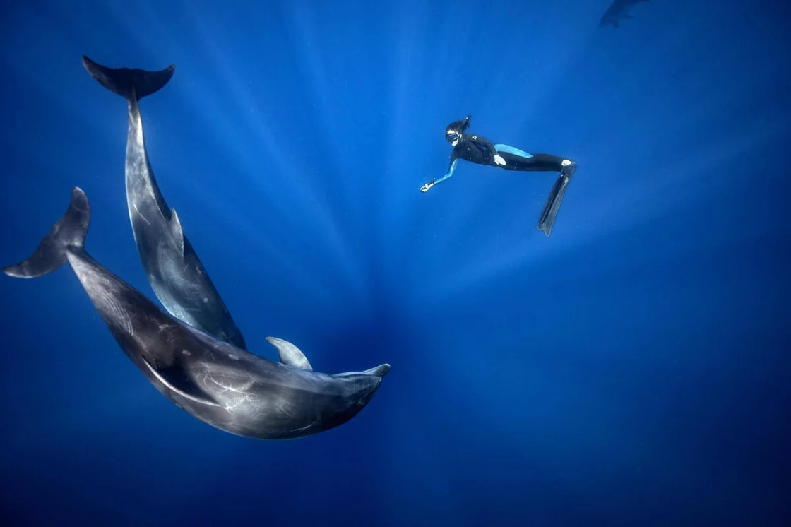 Половината от повърхността на Земята попада в международни води –