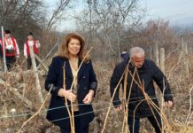 Илияна Йотова