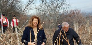 Илияна Йотова