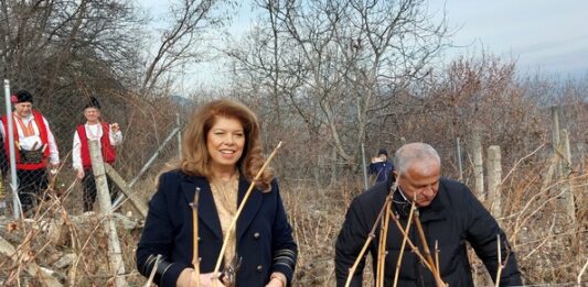 Илияна Йотова