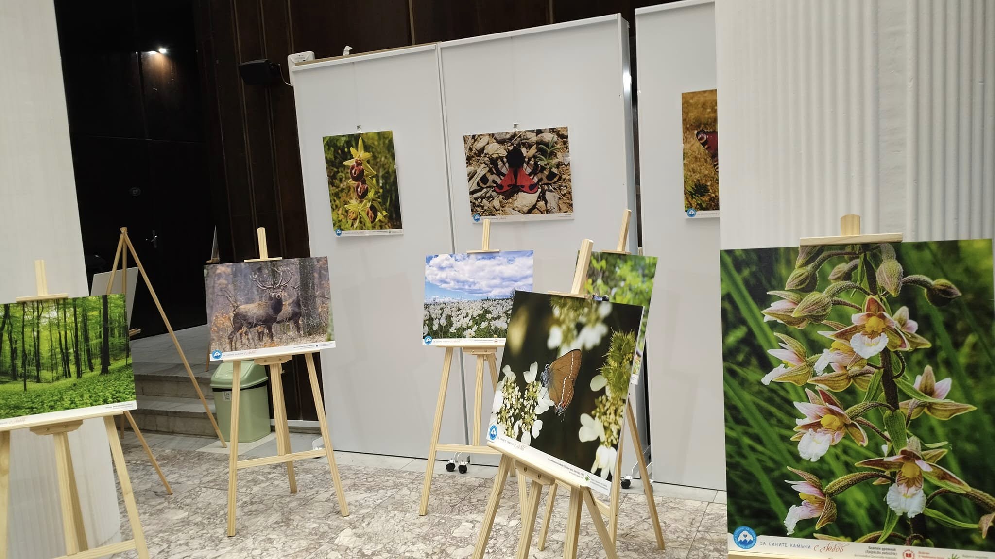 Годината е 2025 градът – на 100 те войводи Ябълката на раздора