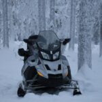 Моторна шейна