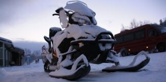 Моторна шейна