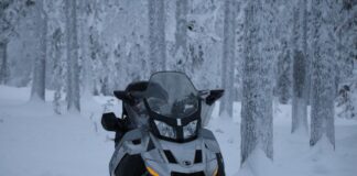 Моторна шейна