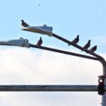 Подмяната на осветлението