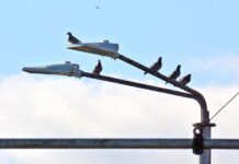 Подмяната на осветлението