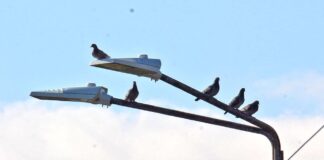 Подмяната на осветлението