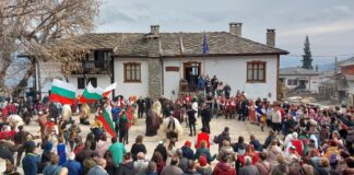 Празник на виното в Делчево