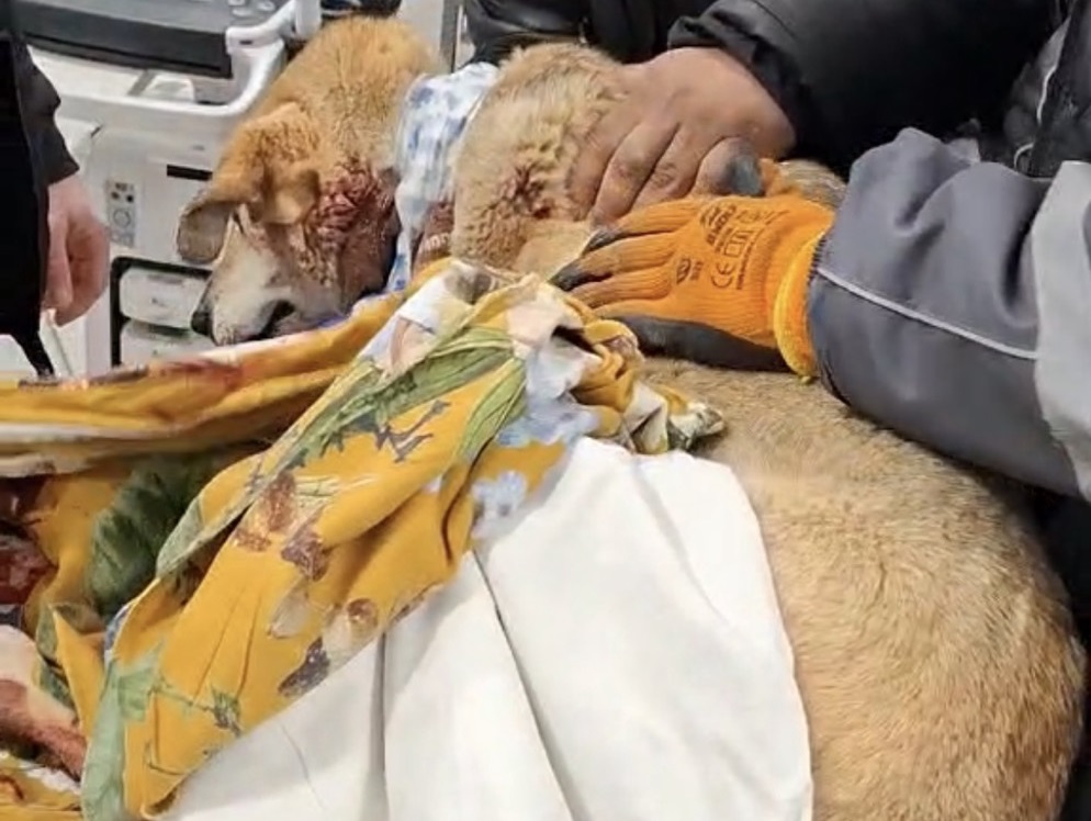 Тази сутрин три превозни средства са преминали по локалното платно