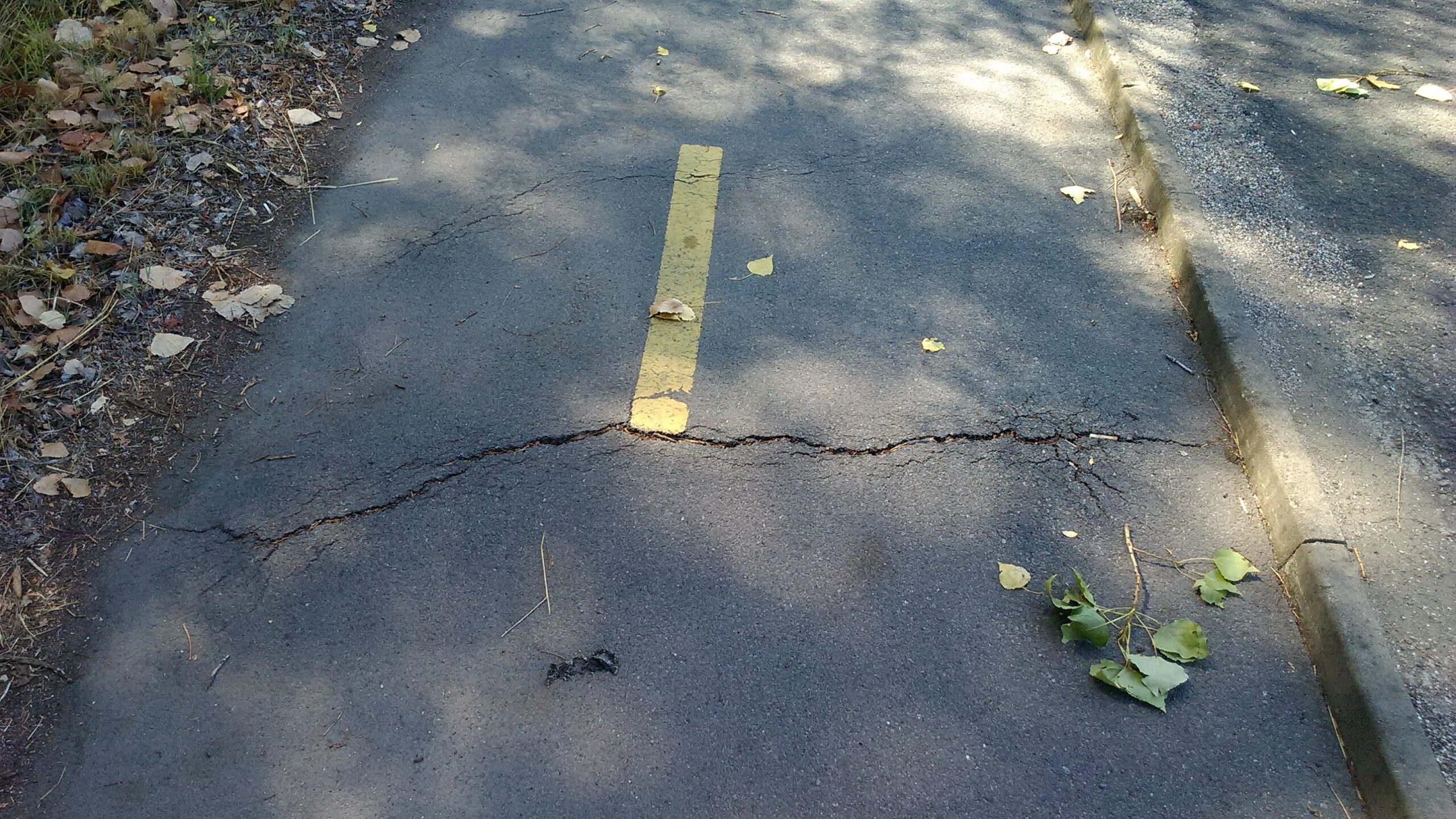 Гражданин опроверга твърденията на Община Бургас че не се подавали