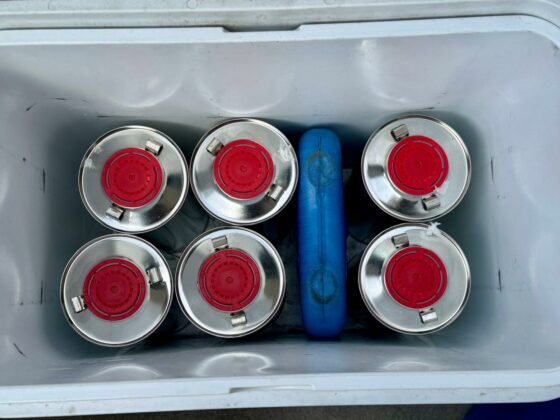 Акция на бензиностанции