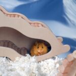 Colossal Biosciences