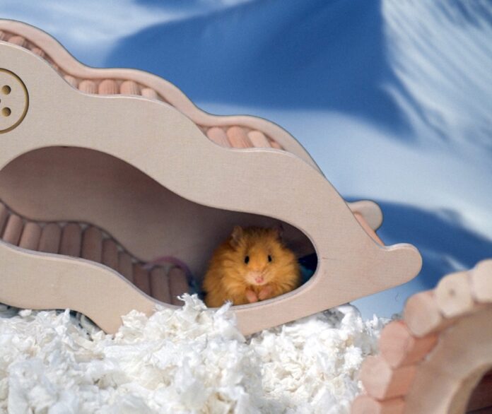 Colossal Biosciences