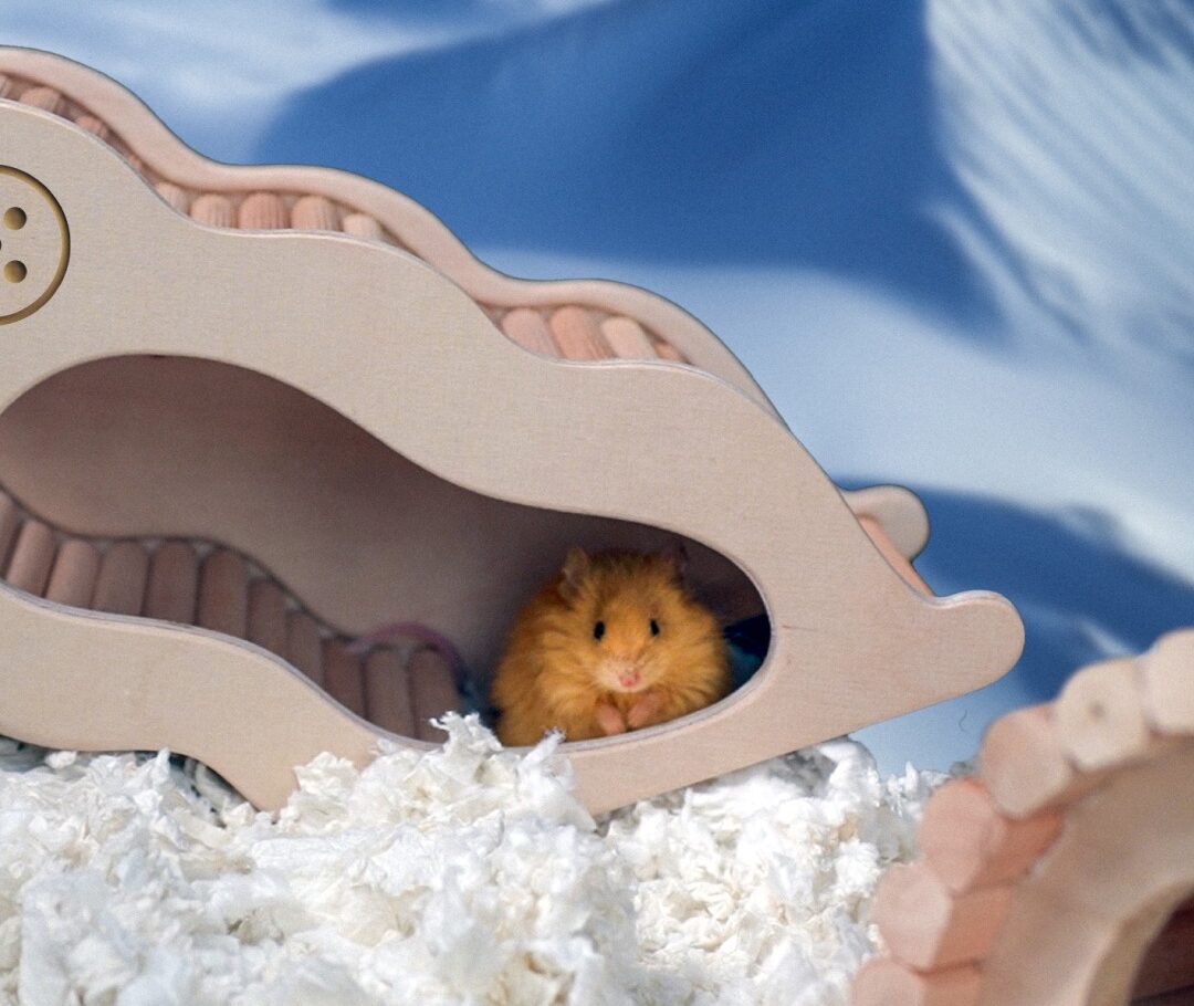 Хамас Заплахите на Тръмп насърчават Нетаняху да избегне споразумението за