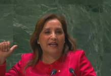 Дина Болуарте