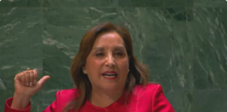 Дина Болуарте