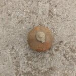 Граната в столичния кв. "Панчарево"