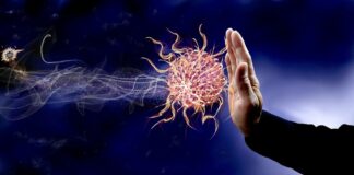 Имунна система