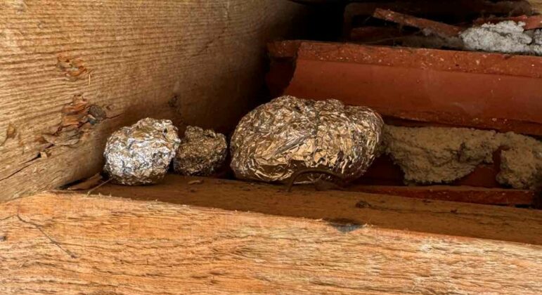 Специализирана операция