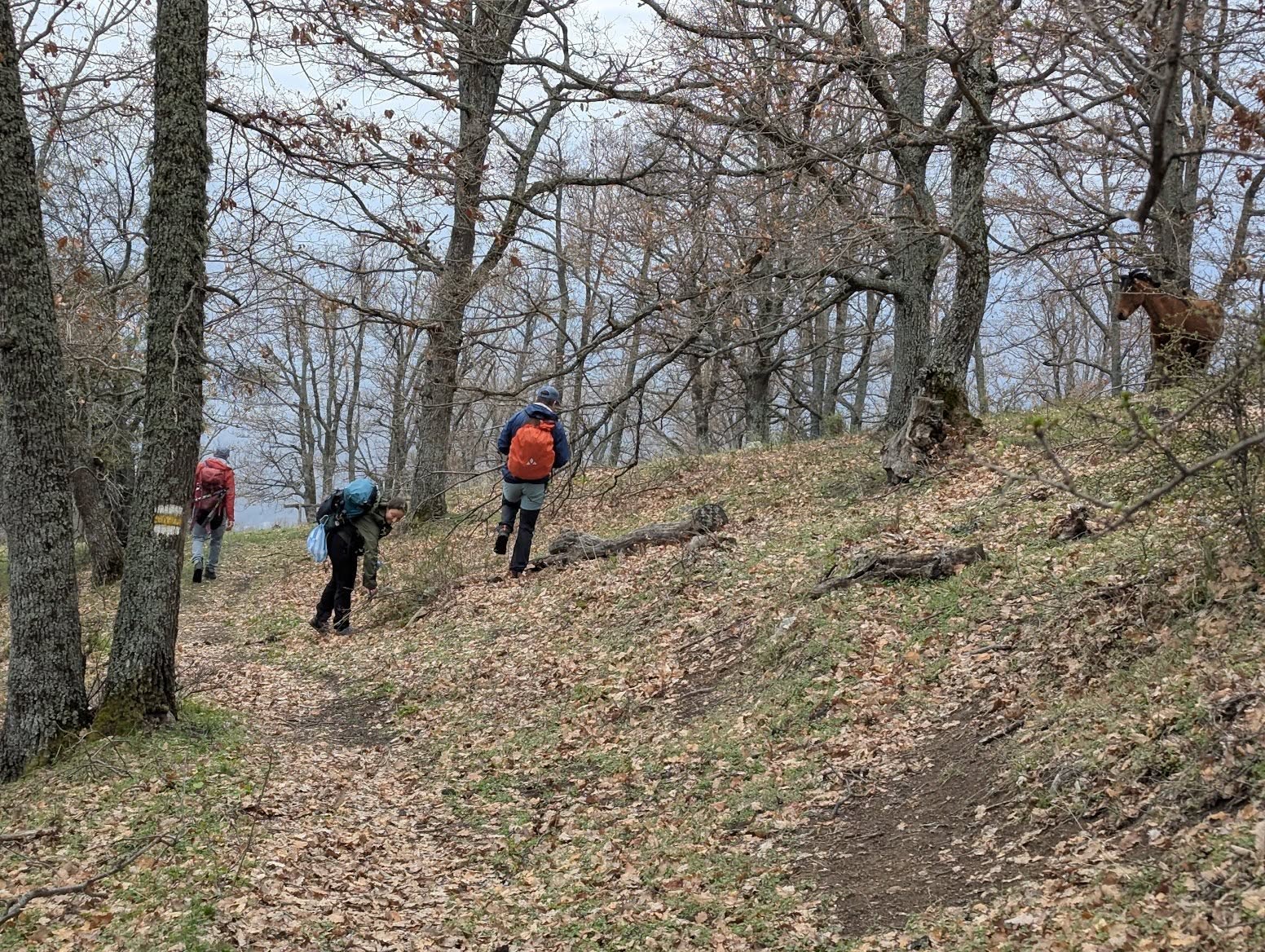 От съобщиха че вчера успешно са реализирали една по мащабна акция
