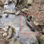 Невзривен боеприпас