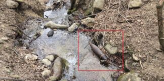 Невзривен боеприпас