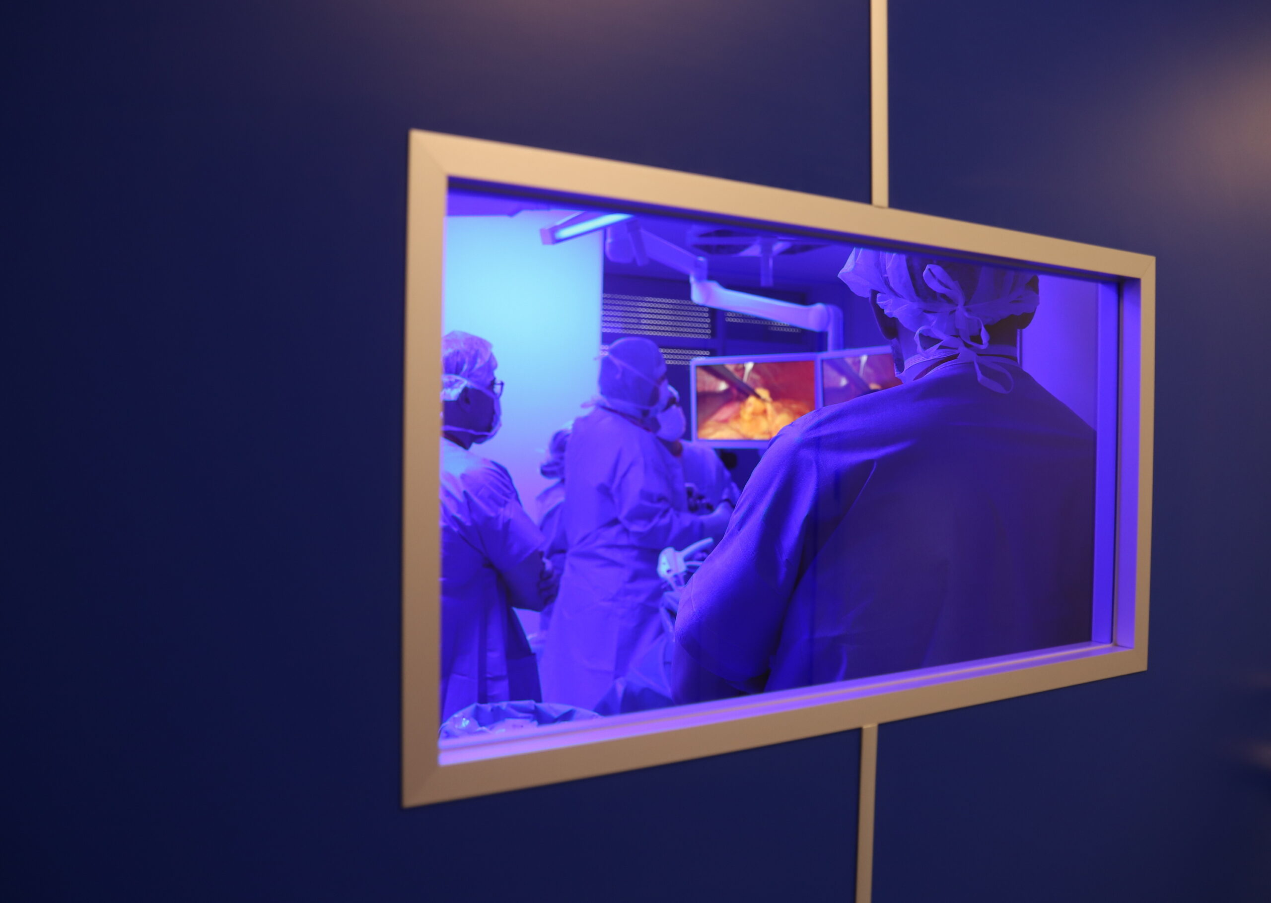 Специалисти от демонстрираха пред колеги от Хърватия иновативни техники в