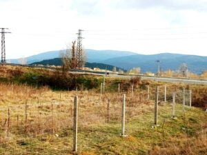 Оградната мрежа