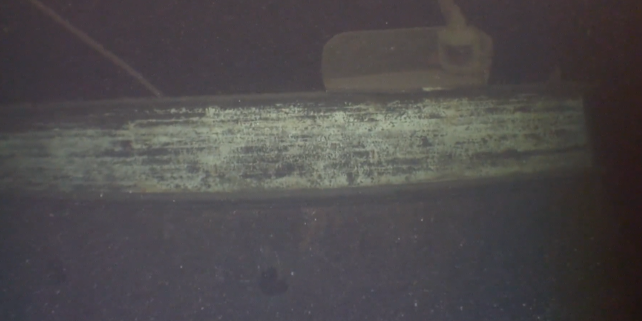 Изследователи откриха преди повече от 130 години пише Асошиейтед прес